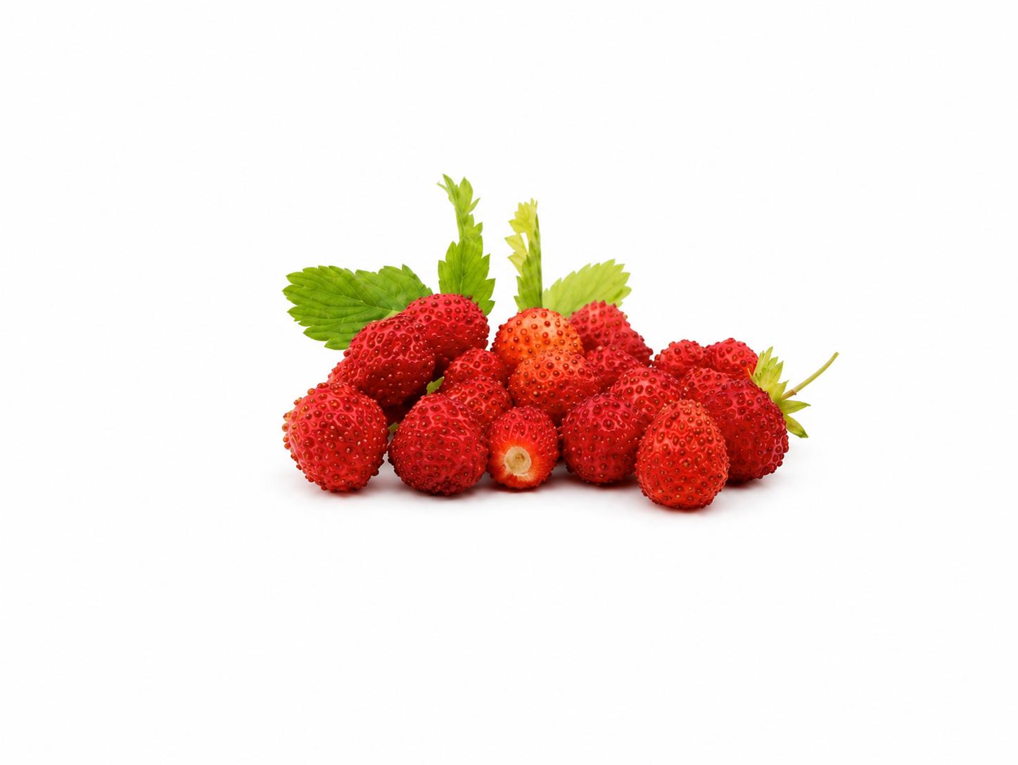 Fragoline di Bosco Gelo Dolce