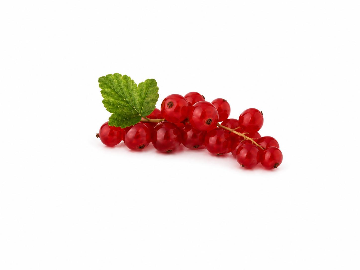 Ribes Gelo Dolce